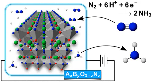 Metal Oxynitrides for the Electrocatalytic Reduction of Nitrogen to Ammonia