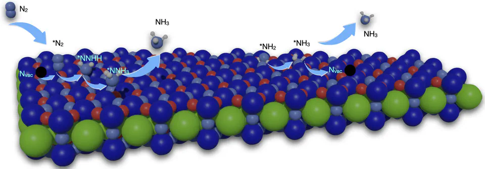 Perovskite Oxynitrides as Tunable Materials for Electrocatalytic Nitrogen Reduction to Ammonia